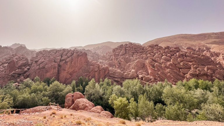 Formaciones de roca roja de los Dedos de Mono sobre un palmeral en el valle del Dadès